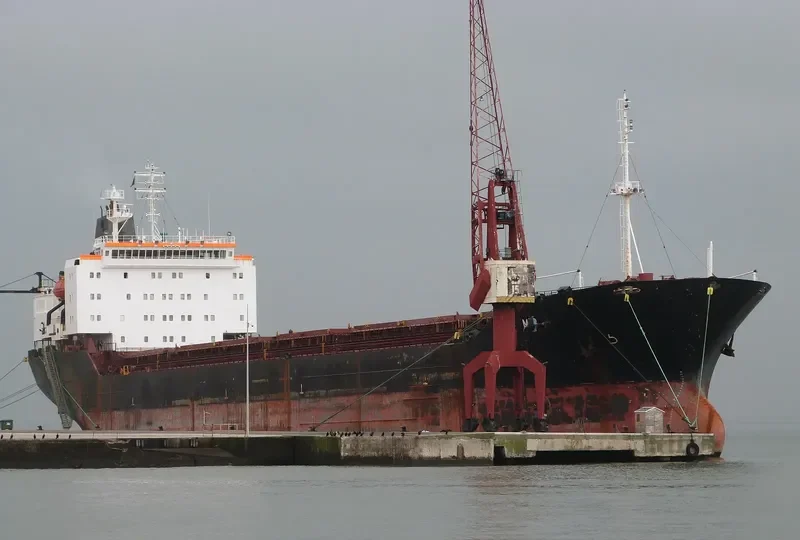 MARYLAND Bulk Carrier IMO 8418758 photo 9