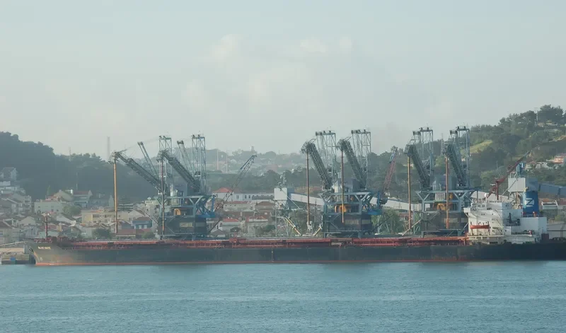 DELPHIS Bulk Carrier IMO 8418978
