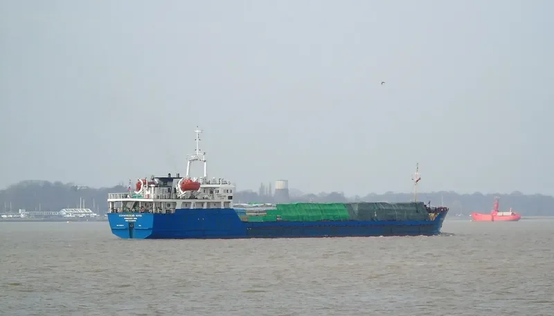 SORMOVSKIY 3056 General Cargo IMO 8419623 photo 3