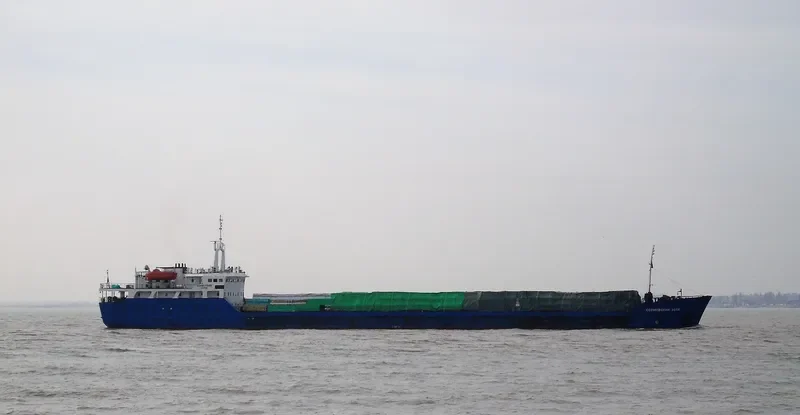 SORMOVSKIY 3056 General Cargo IMO 8419623 photo 4