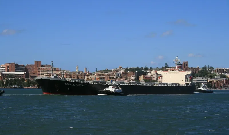ORIENTAL FORTUNE General Cargo IMO 8419867