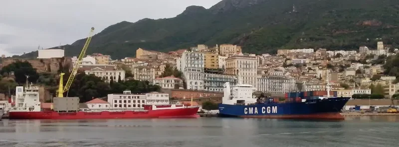 SEA WAVE 1 Ro-Ro IMO 8420426 photo 6