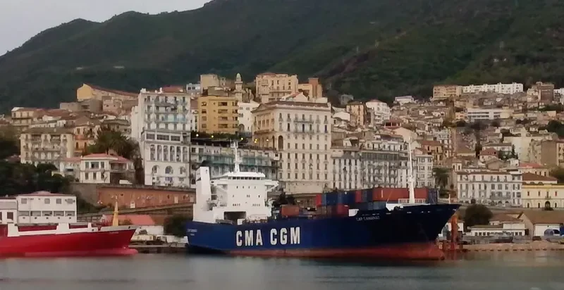 SEA WAVE 1 Ro-Ro IMO 8420426 photo 7