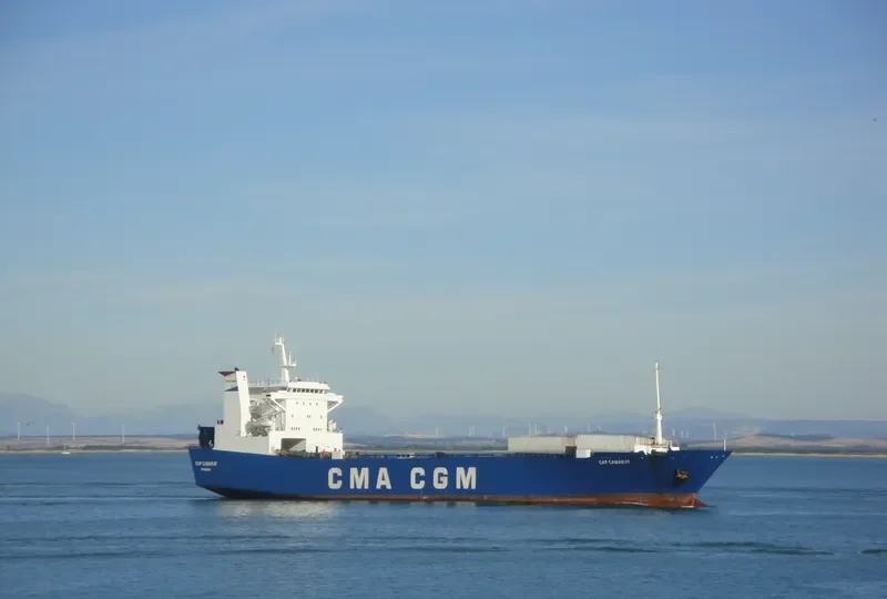 SEA WAVE 1 Ro-Ro IMO 8420426 photo 9