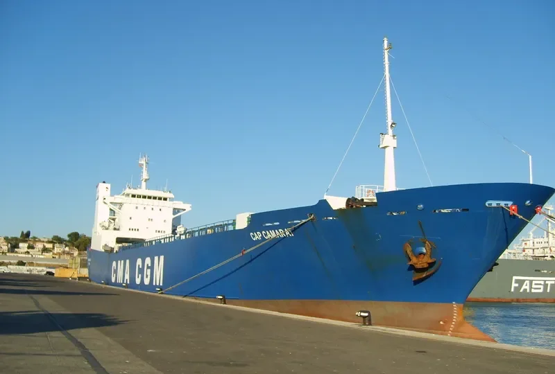 SEA WAVE 1 Ro-Ro IMO 8420426 photo 10