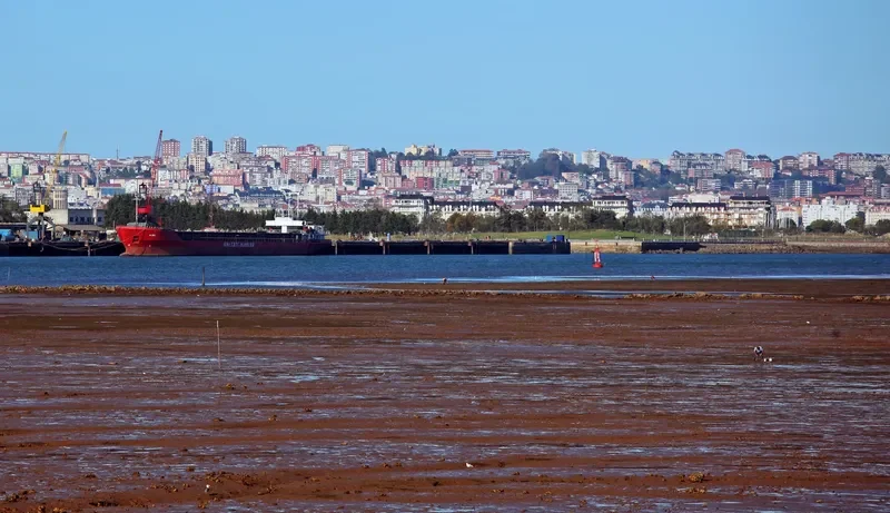ALMA General Cargo IMO 8420660