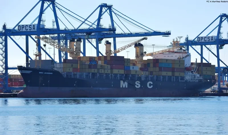 MSC JASMINE Container Ship IMO 8420907 photo 2