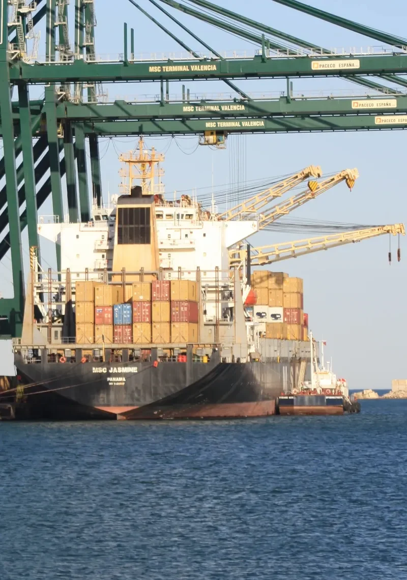 MSC JASMINE Container Ship IMO 8420907 photo 5