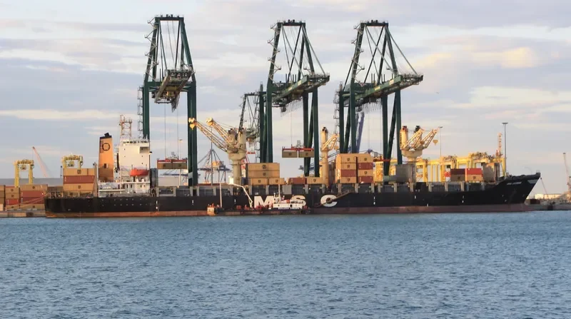 MSC JASMINE Container Ship IMO 8420907 photo 6