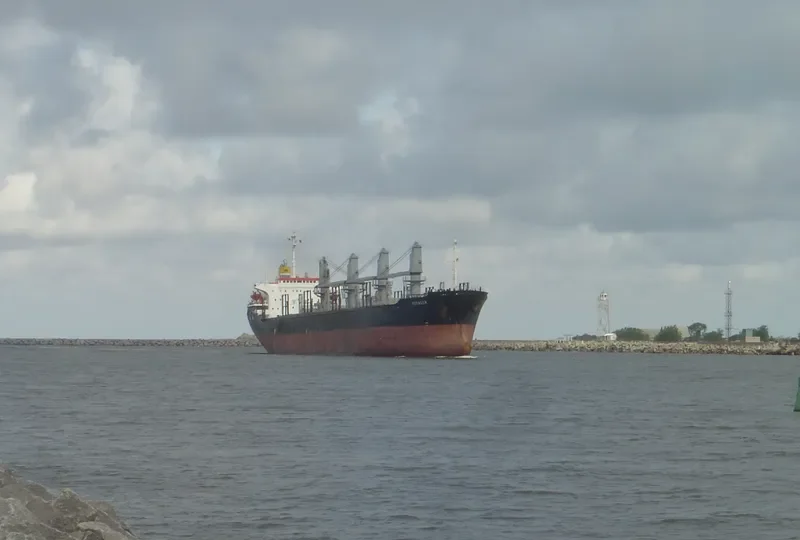 VOYAGER Bulk Carrier IMO 8421341 photo 5