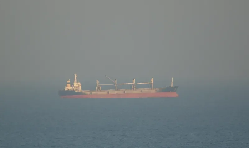 VOYAGER Bulk Carrier IMO 8421341 photo 7