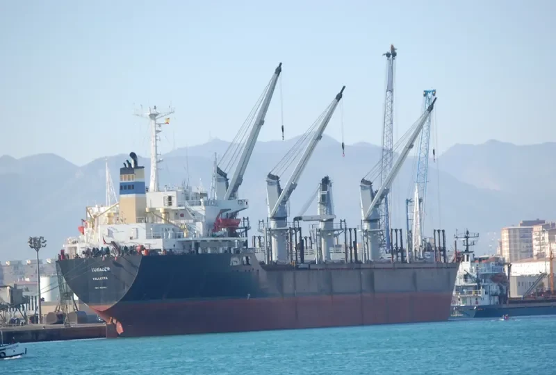 VOYAGER Bulk Carrier IMO 8421341 photo 8