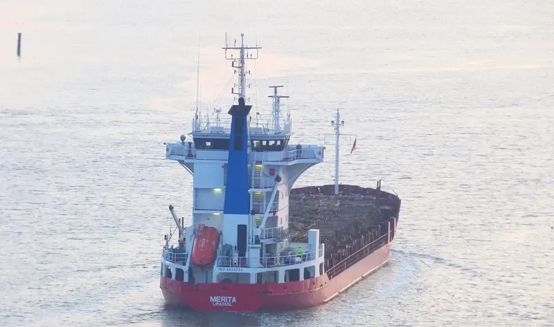 MERITA Container Ship IMO 8422034 photo 9