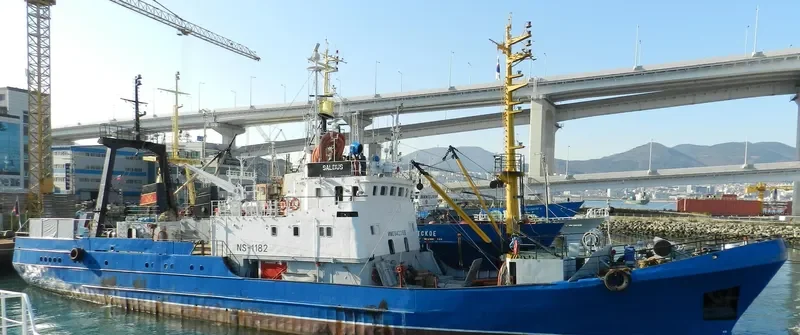 SALDUS General Cargo IMO 8423155 photo 177