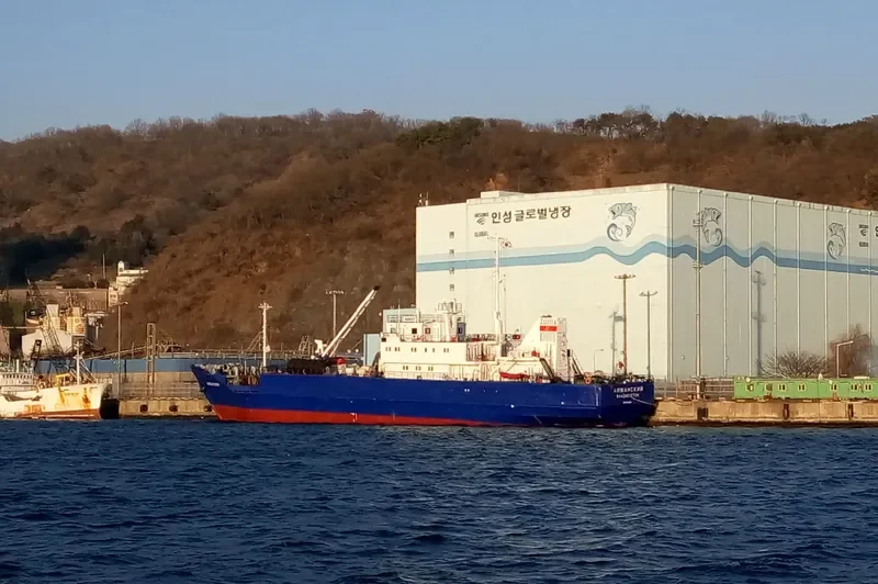 LIMANSKIY General Cargo IMO 8423612 photo 2