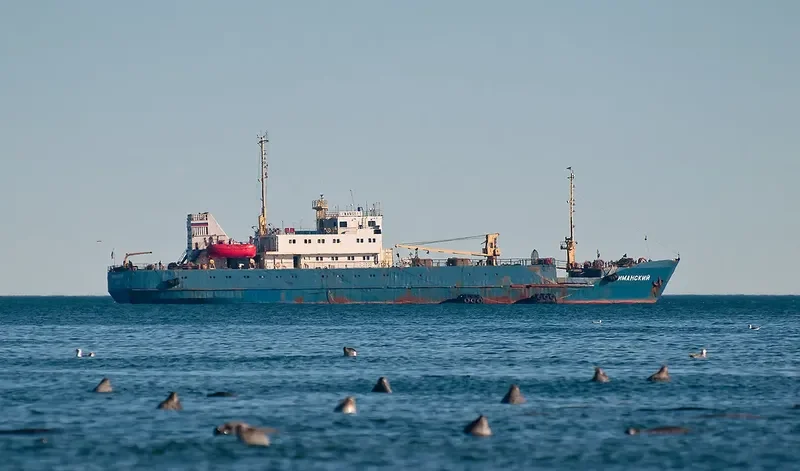 LIMANSKIY General Cargo IMO 8423612 photo 3