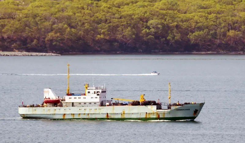 LIMANSKIY General Cargo IMO 8423612 photo 9