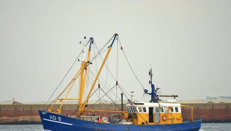 ALBERTINA WILLEMINA General Cargo IMO 8431580