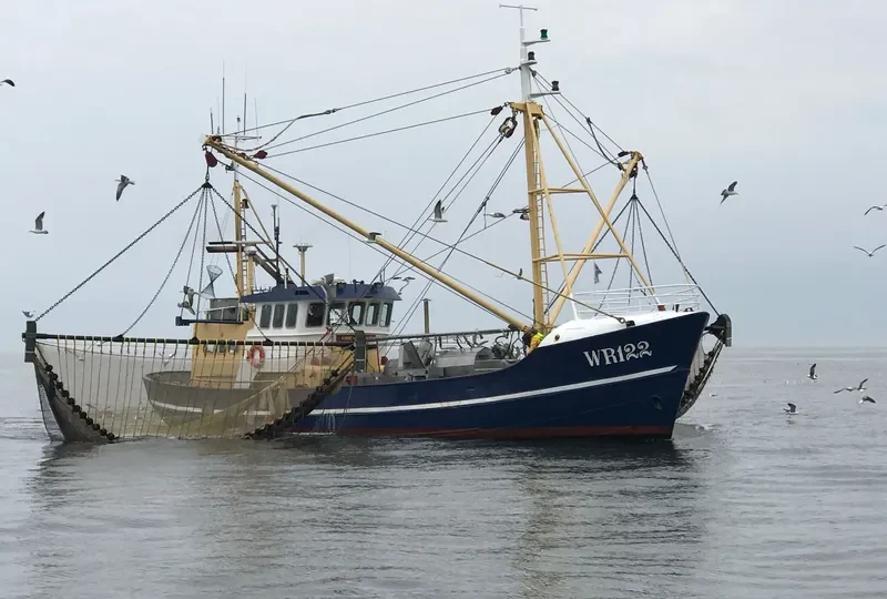 WR122 ANNENOELLE General Cargo IMO 8432704
