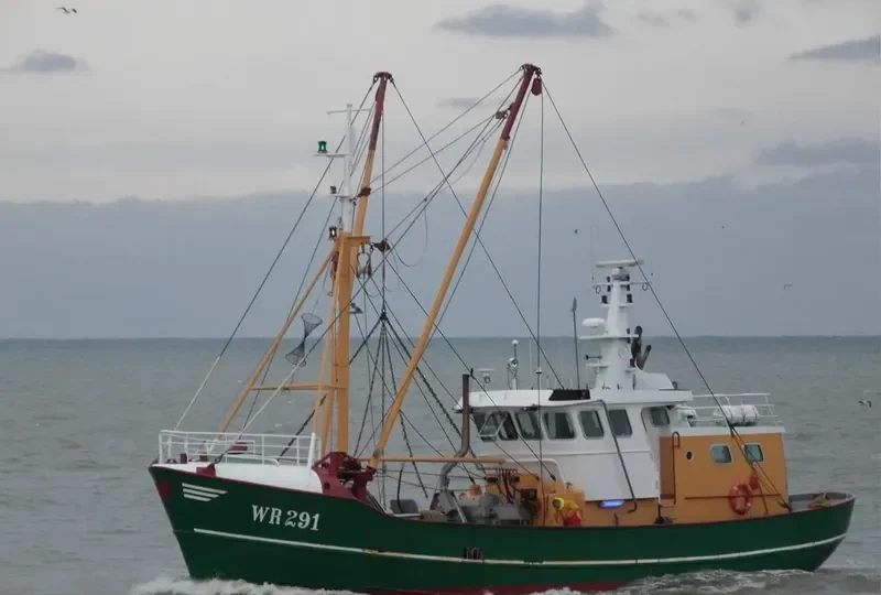 WR291 ESTHER JENKE General Cargo IMO 8432728