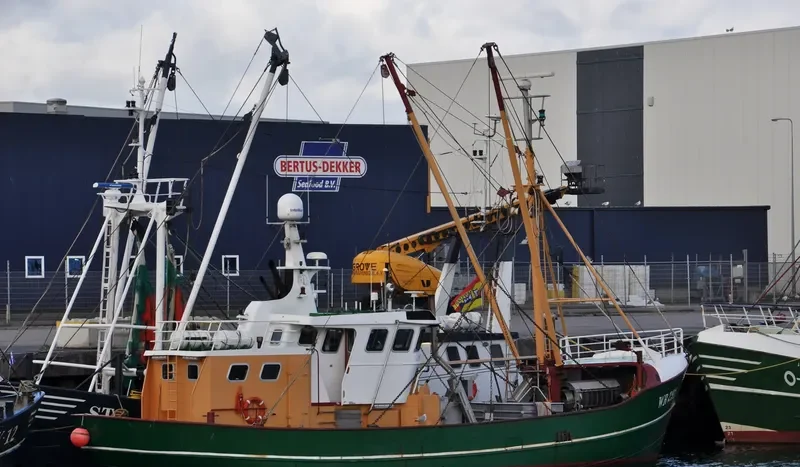 WR291 ESTHER JENKE General Cargo IMO 8432728 photo 2