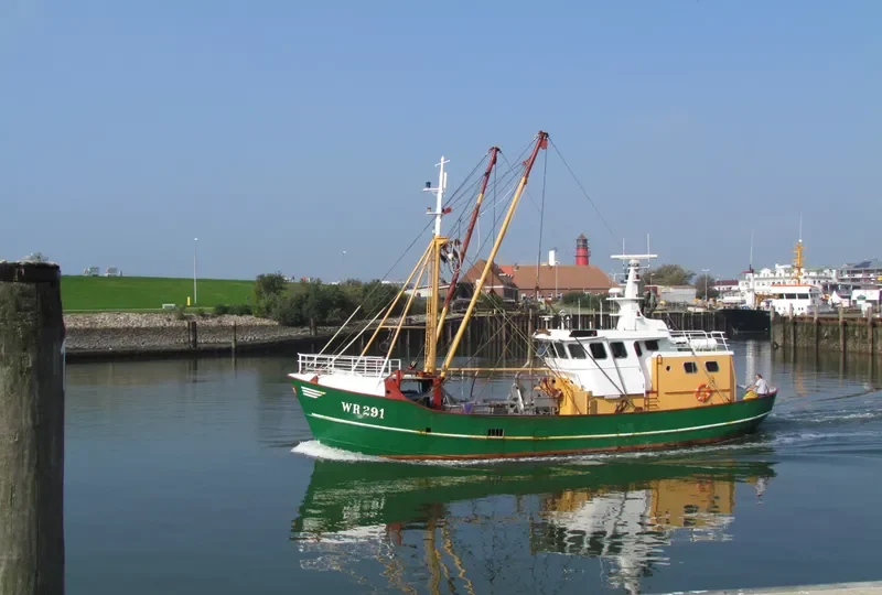 WR291 ESTHER JENKE General Cargo IMO 8432728 photo 8
