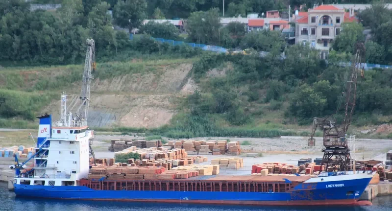 SPIDER 1 General Cargo IMO 8500070 photo 5