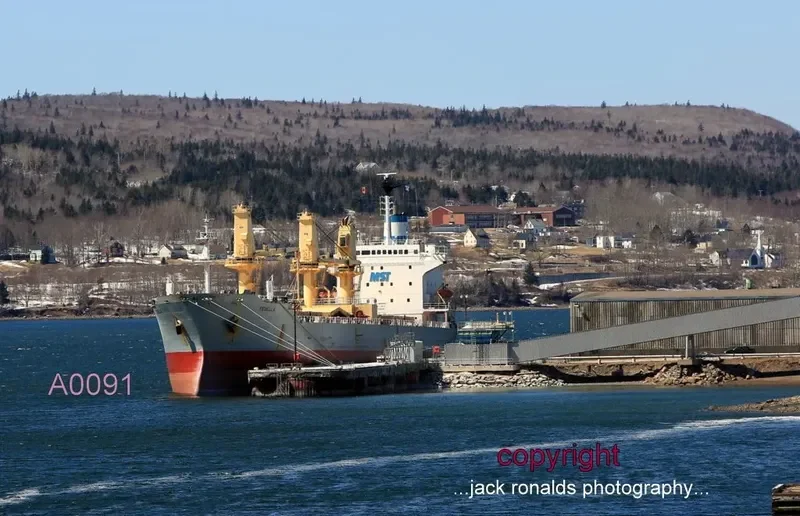 FENELLA General Cargo IMO 8501581 photo 3