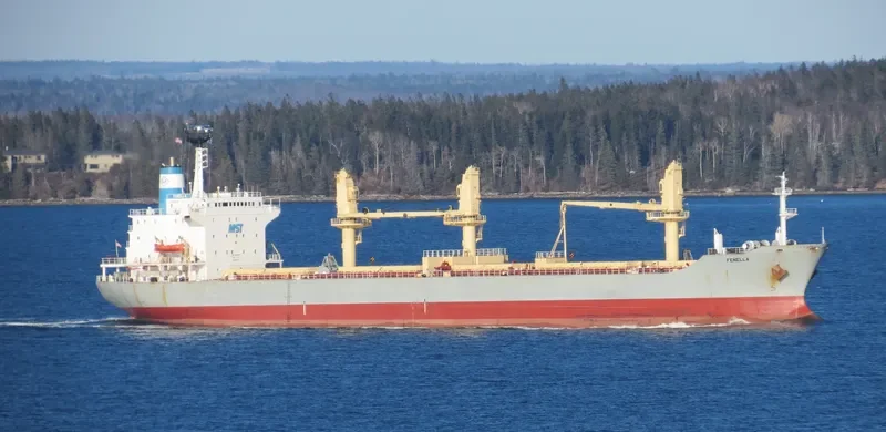 FENELLA General Cargo IMO 8501581 photo 5