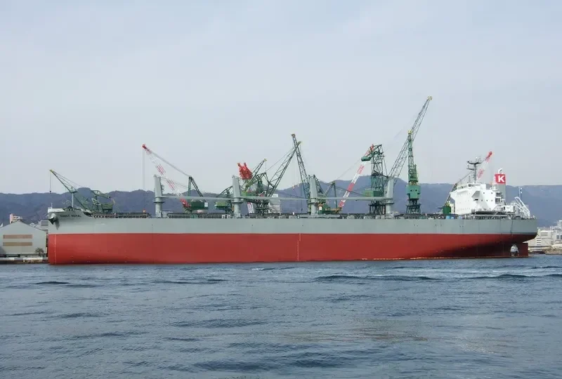 XIN HE SHI BA Container Ship IMO 8501713