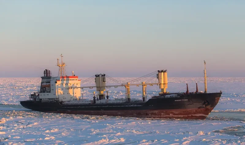 INZHENER TRUBIN General Cargo IMO 8502080 photo 2