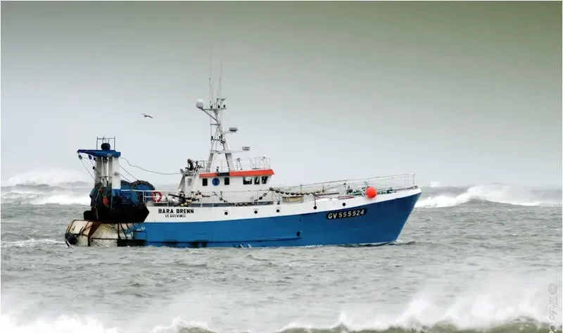 BARA BRENN General Cargo IMO 8502315 photo 6
