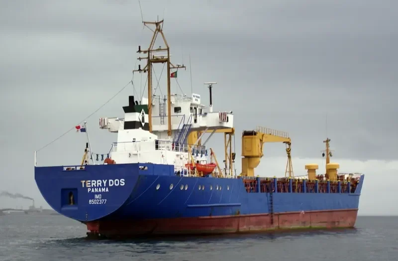 SEA SOUL 1 General Cargo IMO 8502377