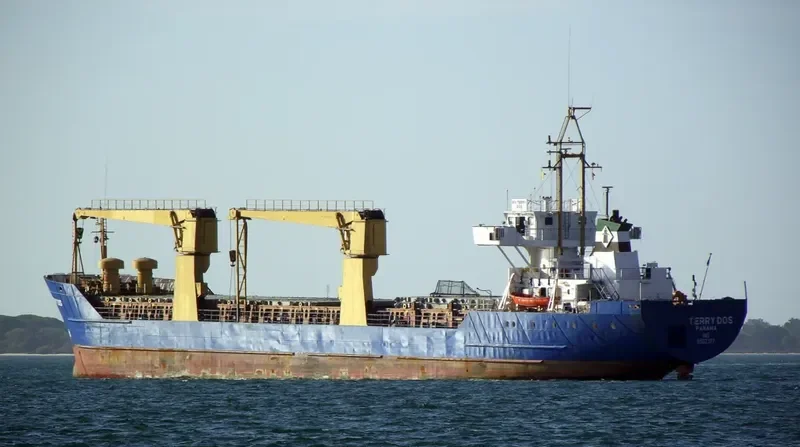 SEA SOUL 1 General Cargo IMO 8502377 photo 2