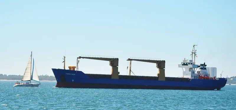 SEA SOUL 1 General Cargo IMO 8502377 photo 3