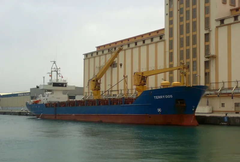 SEA SOUL 1 General Cargo IMO 8502377 photo 6