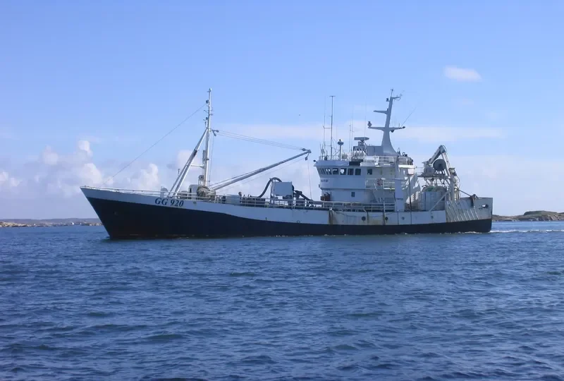 ATLOY VIKING General Cargo IMO 8502418 photo 5