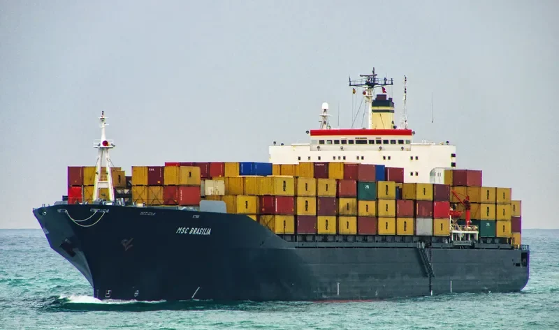BRASIL Container Ship IMO 8502872