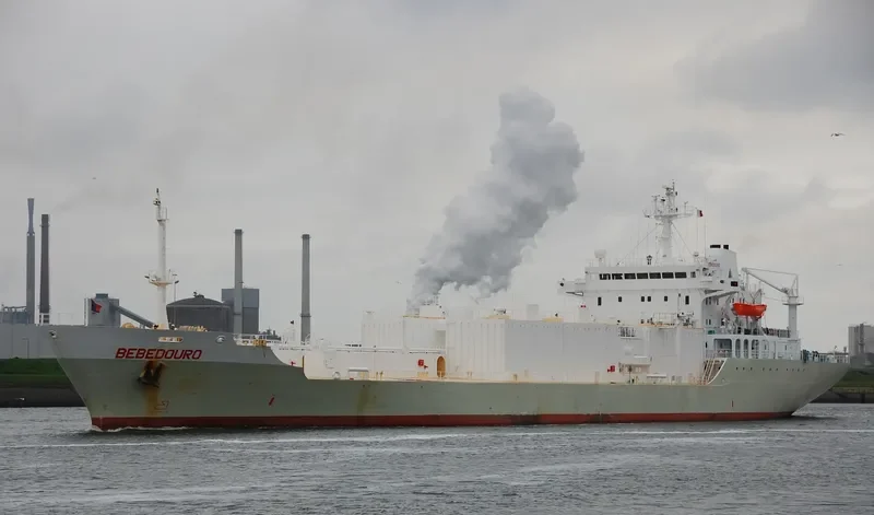 BEBEDOURO Tanker IMO 8503773 photo 2