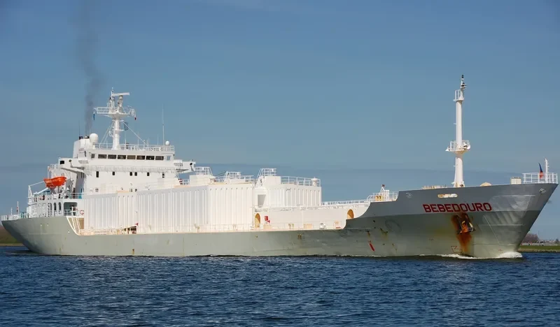 BEBEDOURO Tanker IMO 8503773 photo 4