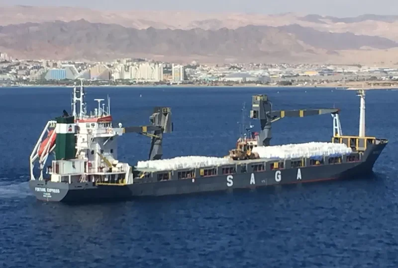 FORTUNE EXPRESS General Cargo IMO 8503802