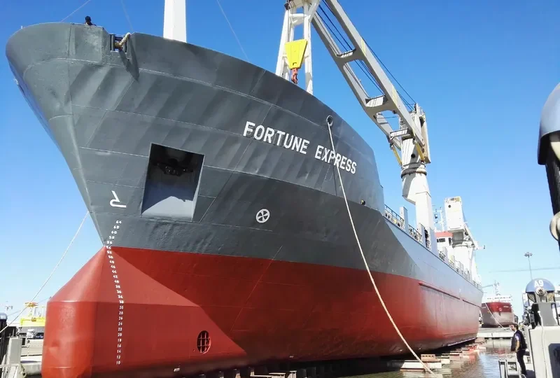 FORTUNE EXPRESS General Cargo IMO 8503802 photo 2