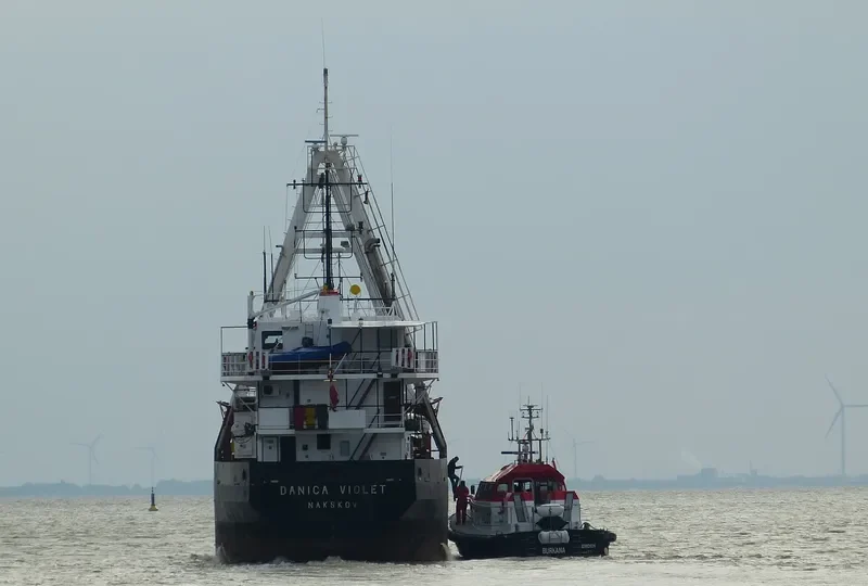 DANICA VIOLET General Cargo IMO 8503967 photo 3