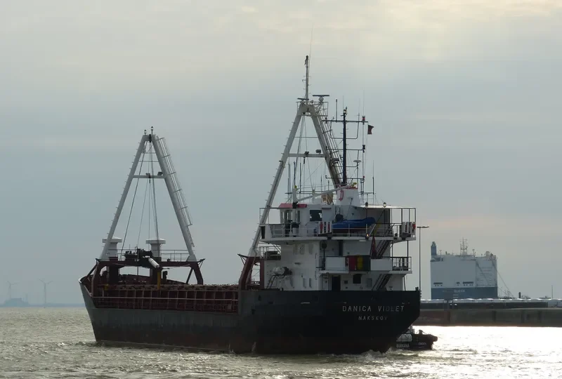 DANICA VIOLET General Cargo IMO 8503967 photo 4