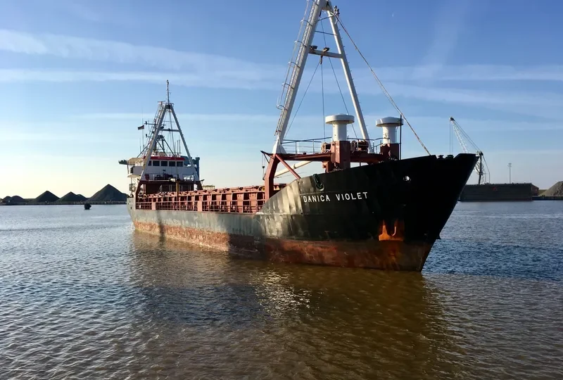 DANICA VIOLET General Cargo IMO 8503967 photo 6