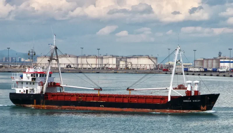 DANICA VIOLET General Cargo IMO 8503967 photo 7