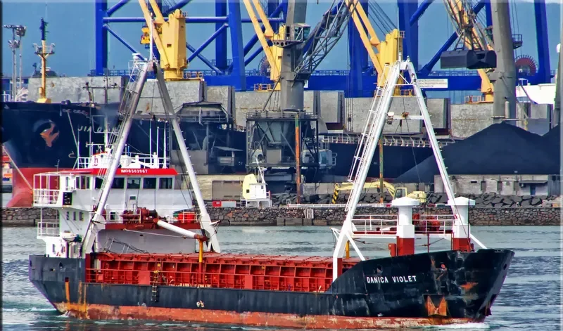 DANICA VIOLET General Cargo IMO 8503967 photo 8