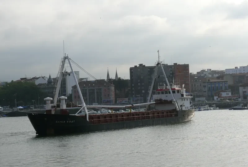 DANICA VIOLET General Cargo IMO 8503967 photo 10