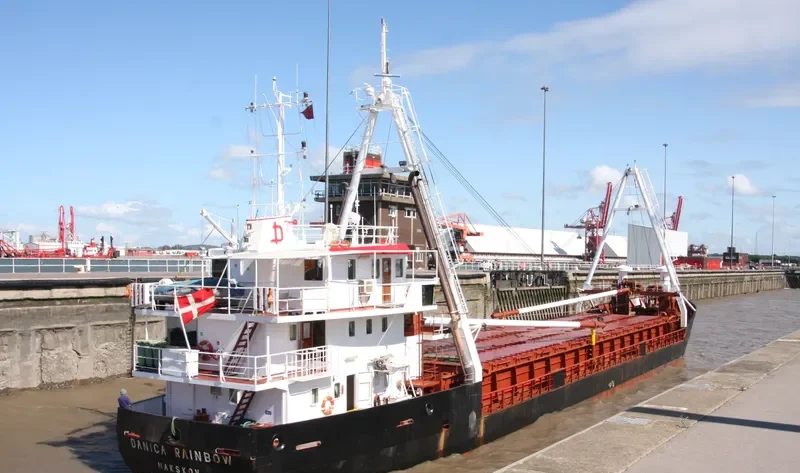 DANICA RAINBOW General Cargo IMO 8503979 photo 10