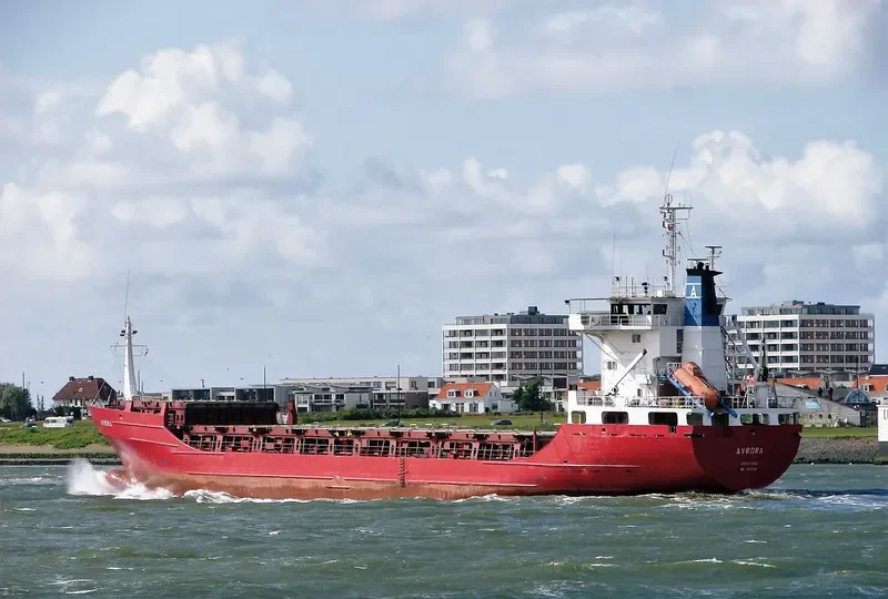 AVRORA Container Ship IMO 8504258 photo 2